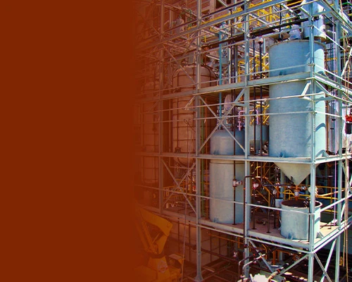 Edible & Non-edible Oil Refining Plant
