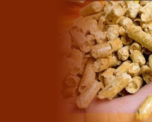 Wood-Biomass-Pellet-Tower-Plant