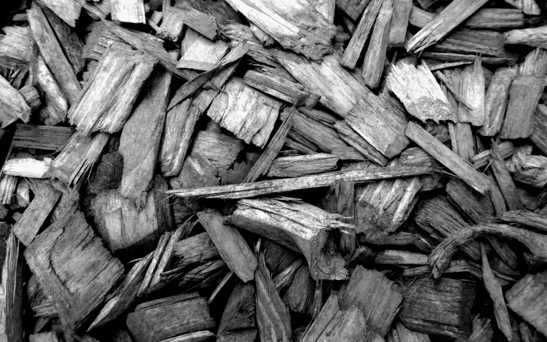 chips