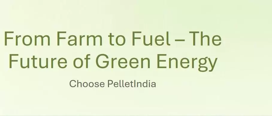 ❓Which type of pellet mill best suits your production needs? 🔥🤔