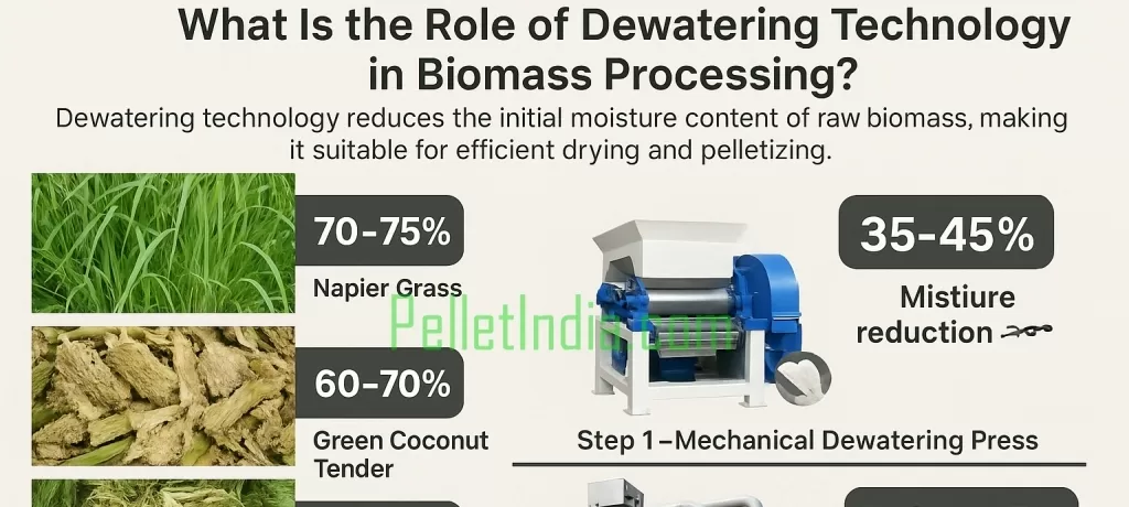 ♻️ What Is the Role of Dewatering Technology in Biomass Processing?