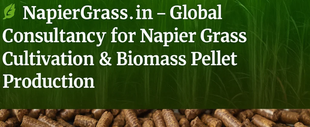 πΏ NapierGrass.in β Global Consultancy for Napier Grass Cultivation & Biomass Pellet Production